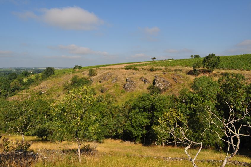 Les rouannieres - Chateau Pierre Bise