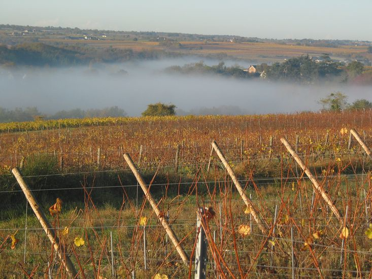 Les-Guerches-Chateau-Pierre-Bise-soils